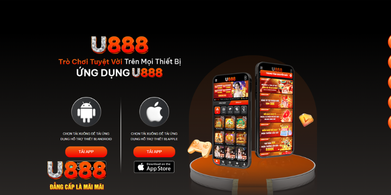 911win cá cược bóng đá như thế nào