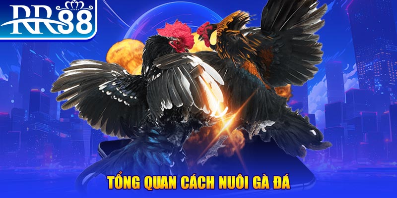 911win game nổ hũ rút tiền mặt là gì