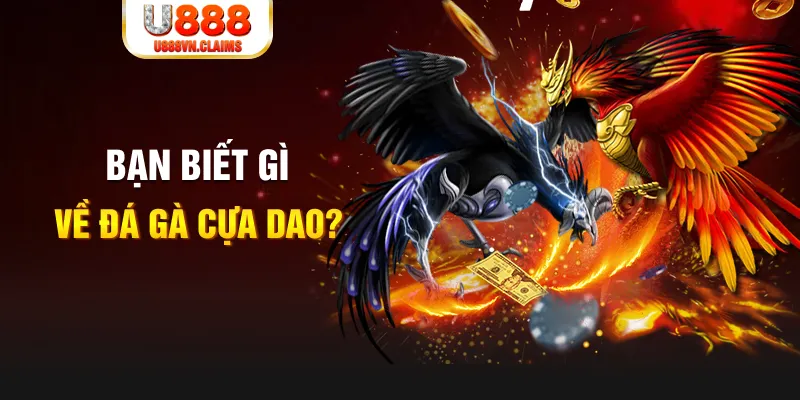 911win SW Xổ Số
