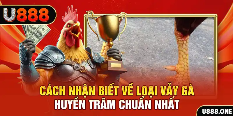 911win đăng nhập nổ hũ số 1