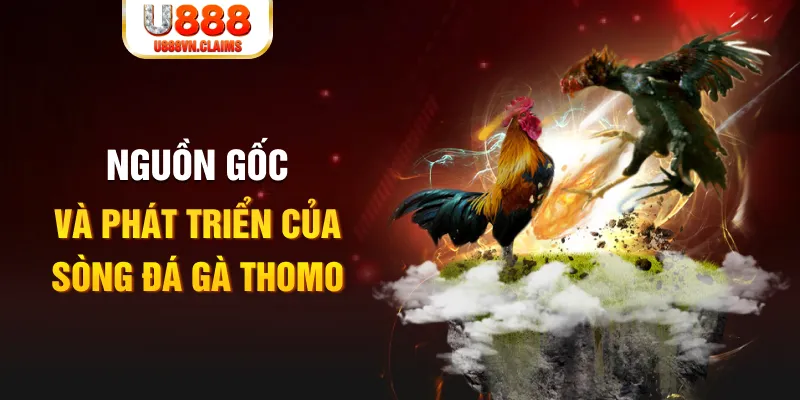 911win baccarat online la gì