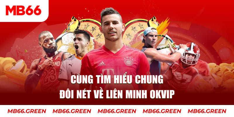 911win đá gà trực tiếp bình luận viên