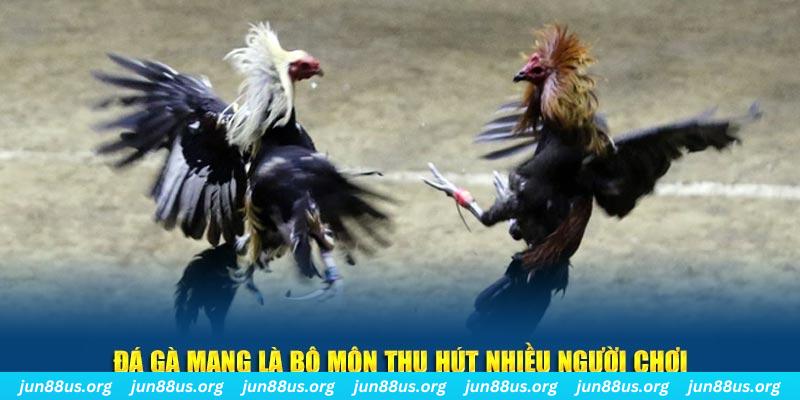 911win nổ hủ nghĩa là gì