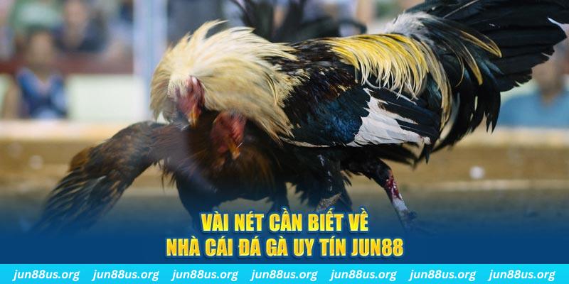 911win đăng nhập phỏm khuyến mãi