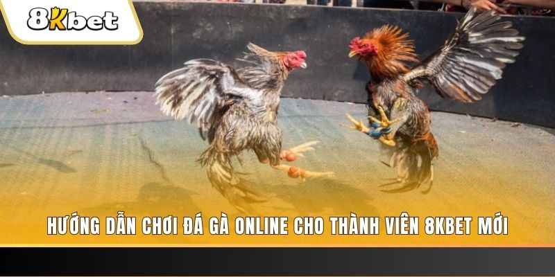 911win JILI Game Bài 3d