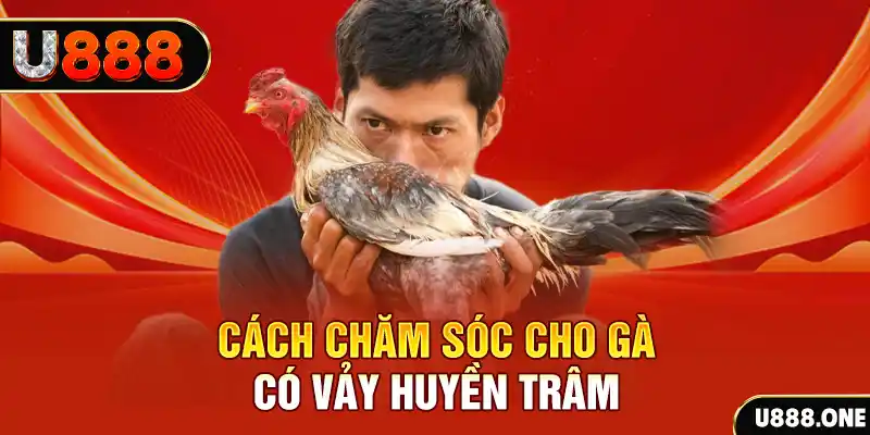 911win bắn cá xèng 3