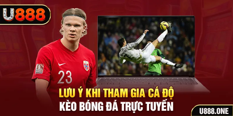 911win đăng nhập tiến lên miền nam khuyến mãi