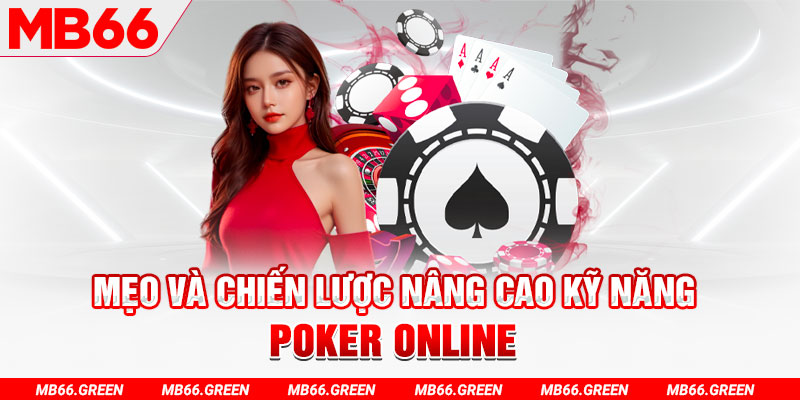 chổi lông gà
