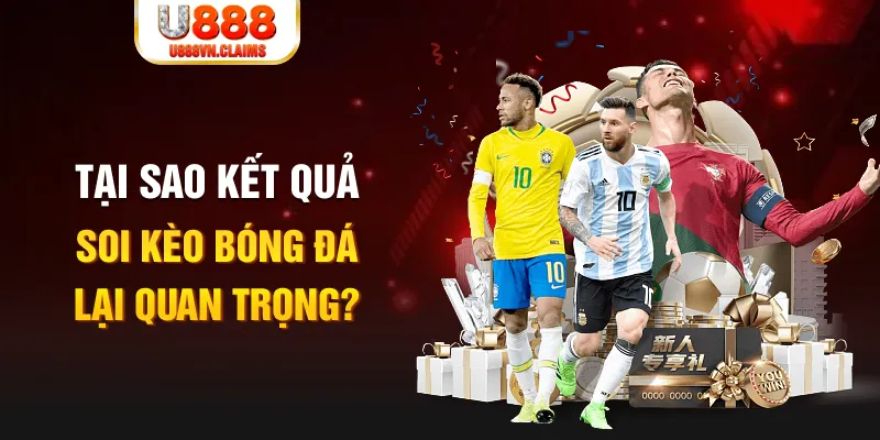 911win Tôm Cua Cá 2