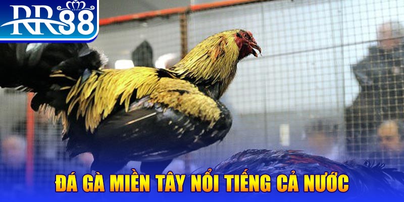 911win xổ số đại phát