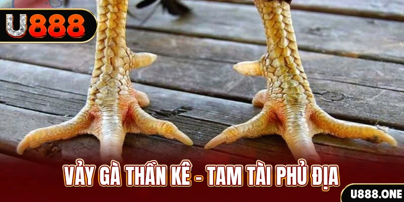 911win xổ số miền trung thứ hai hàng tuần