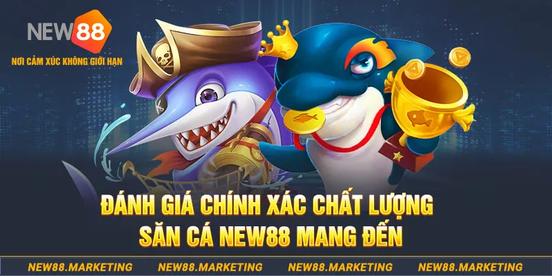 911win đăng nhập mậu binh mới nhất