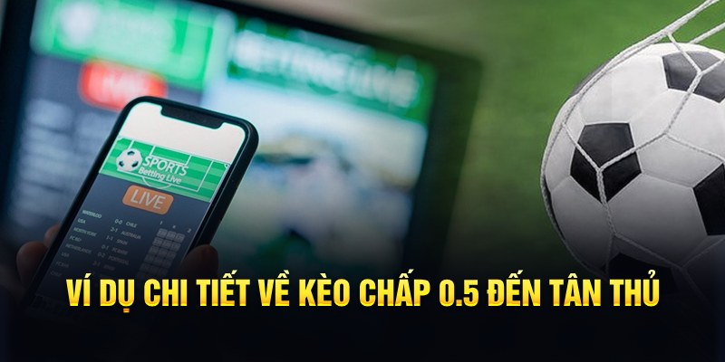 911win RTG Game Bài 3d