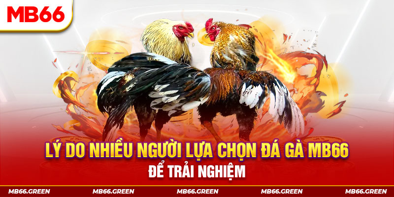 911win đăng nhập liêng trực tiếp