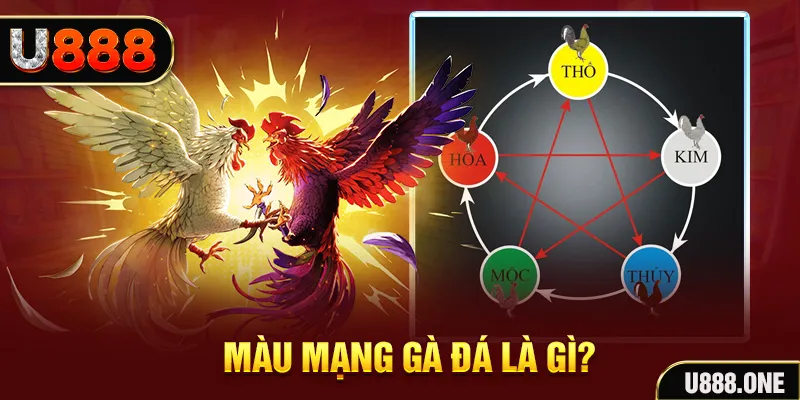 911win xổ số miền trung thứ tư hàng tuần
