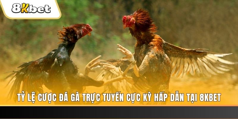 911win đăng nhập mậu binh online