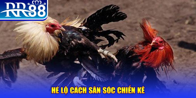 911win xổ số miền trung thứ tư