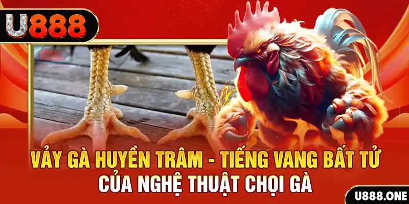 911win đăng nhập roulette trực tuyến