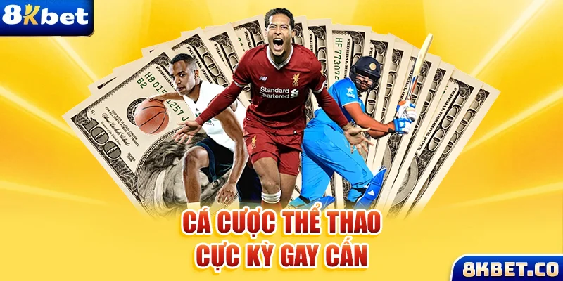 911win xem đá gà trực tiếp